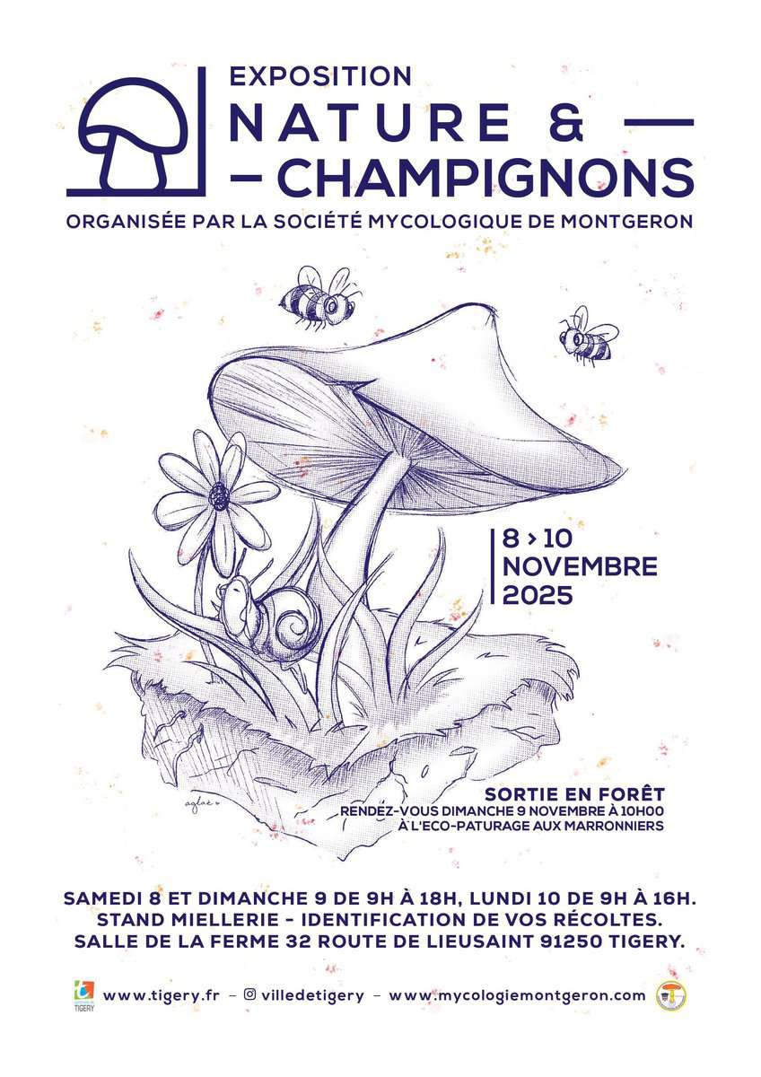 EXPOS TIGERY 2025_
