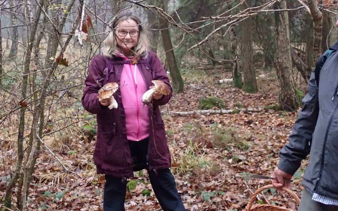 CR Sortie du 16 novembre 2025