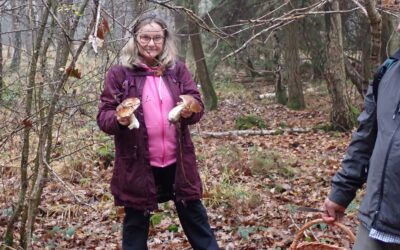 CR Sortie du 16 novembre 2025