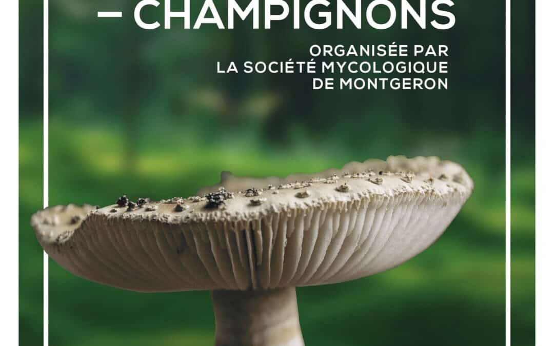 CR Exposition Chalandray 2026