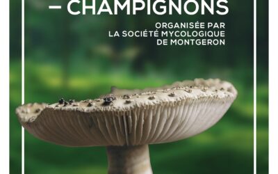 CR Exposition Chalandray 2026